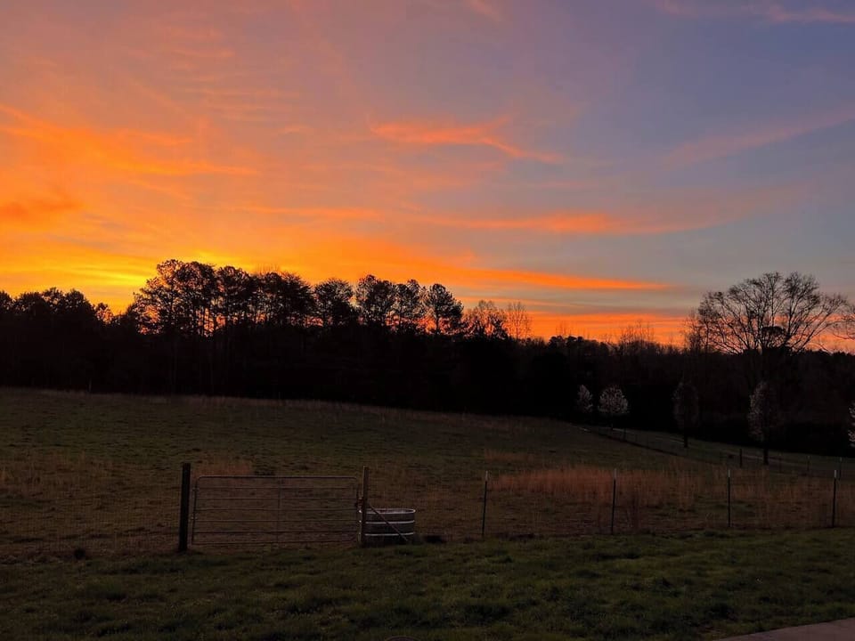 c90a6c43-f7bd-4019-b225-791159c8fdeb