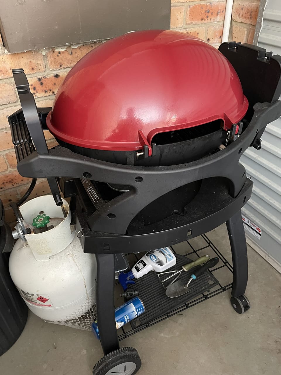 Ziggy gas BBQ 
