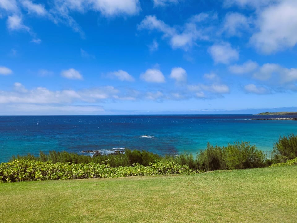 Pacific Ocean Front Location