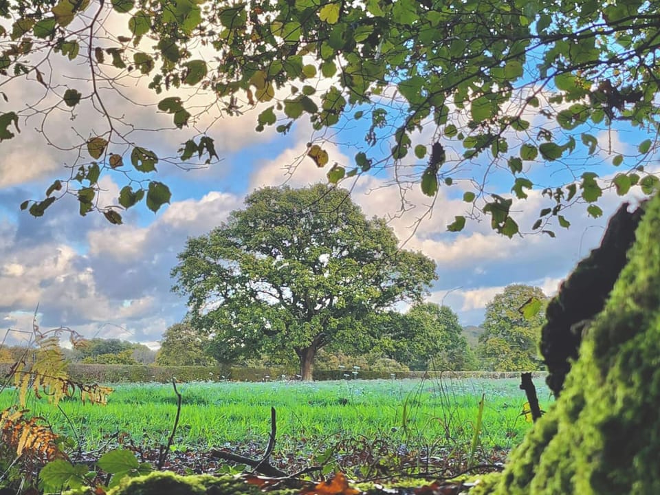Surrounding area | Sybs Farm Shepherds Hut, Lurgashall