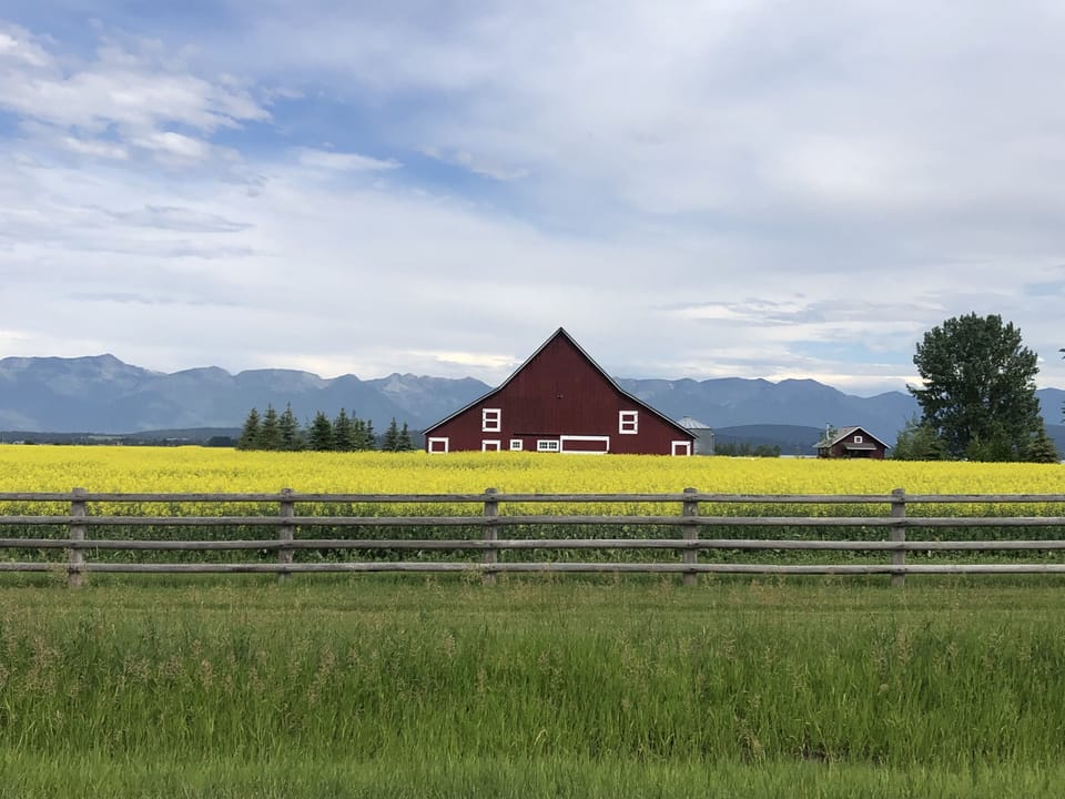 View from the road of the historic barn