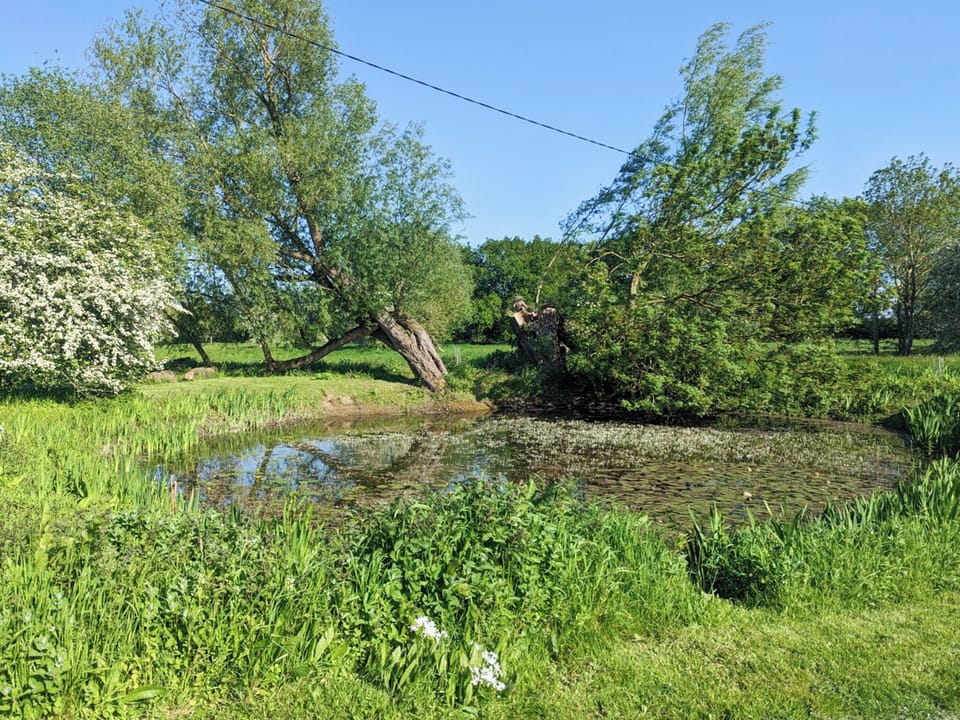 Double bedroom | Larks Nest, Diss