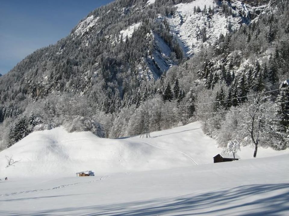 Haus Sonnenhof - Appartement Groß Apartment in Vorarlberg, Austria