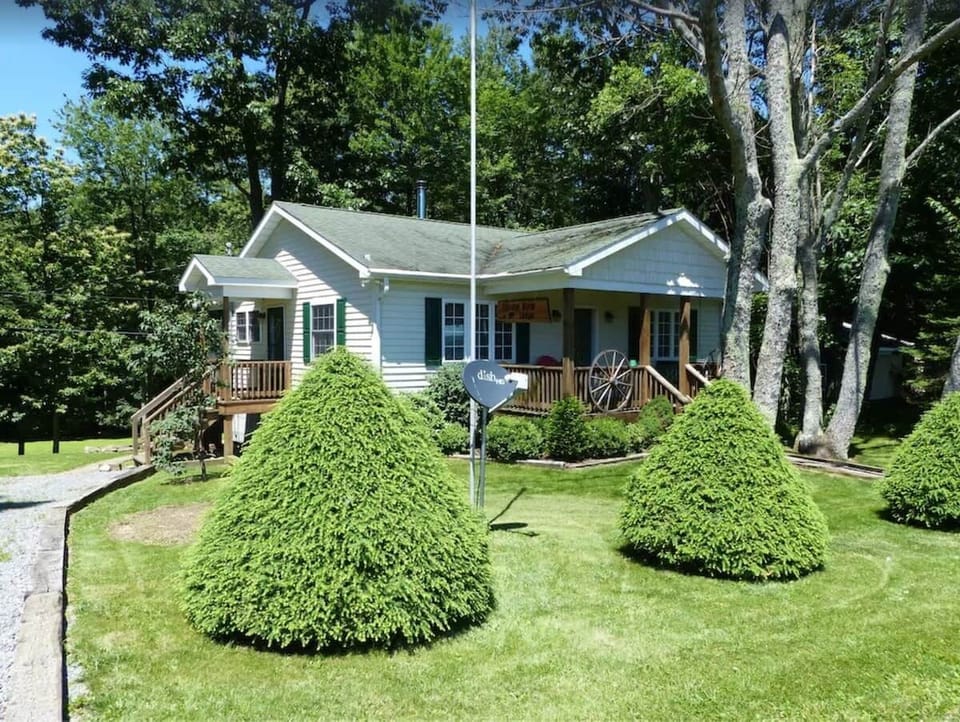 Frontyard