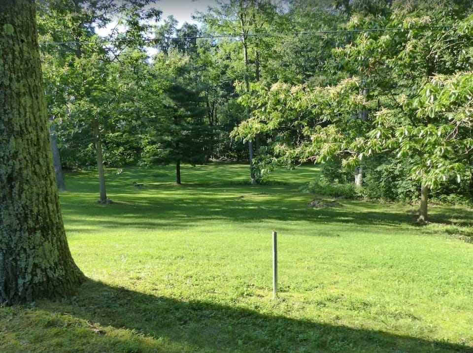 Whether you plan to watch the wildlife or the kids enjoy the backyard, there is plenty for either activity. 