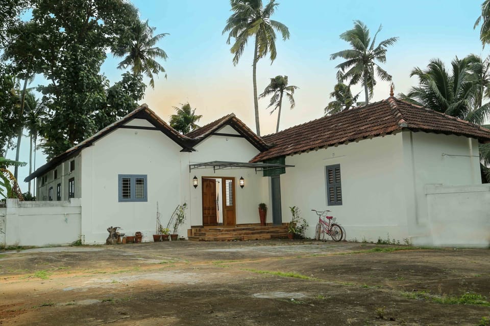 Front View