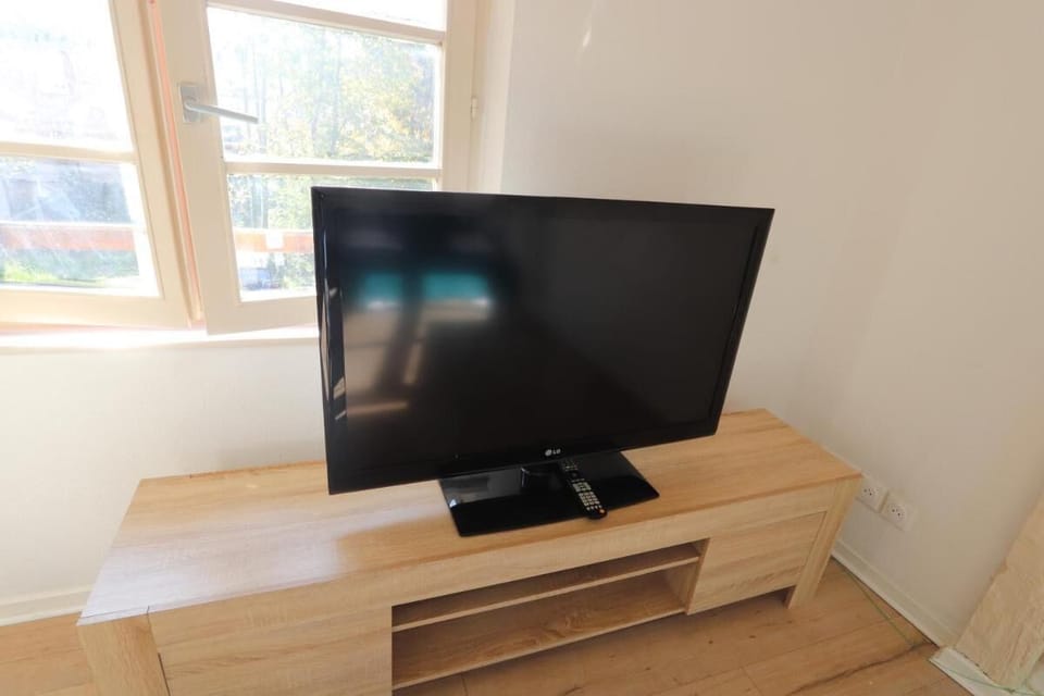 Television