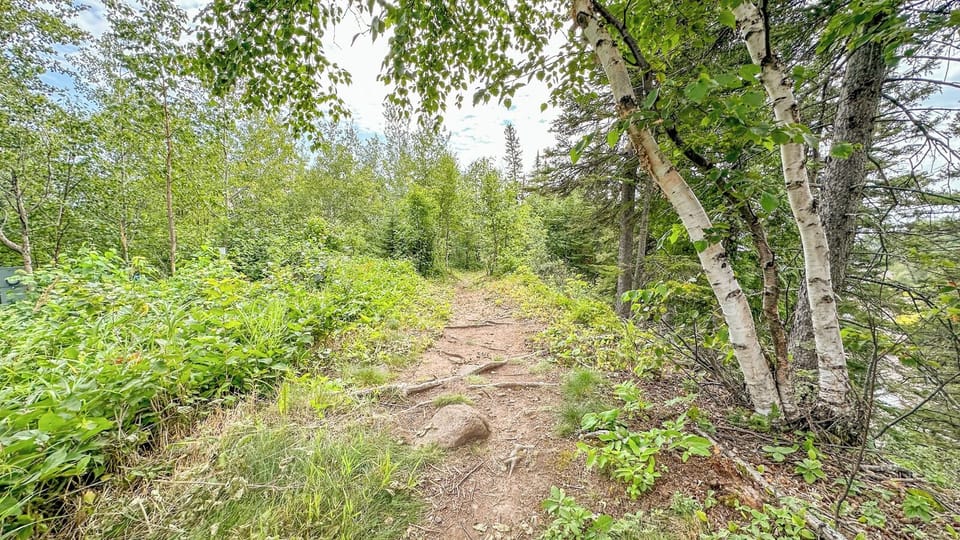 The trail circles the property and goes down to the Lakeshore area.