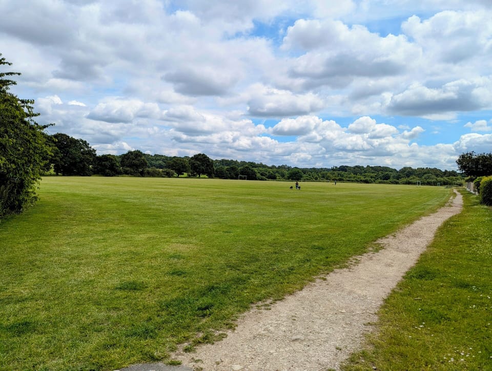 Open field at the back of Dean House. Perfect for dog walks 