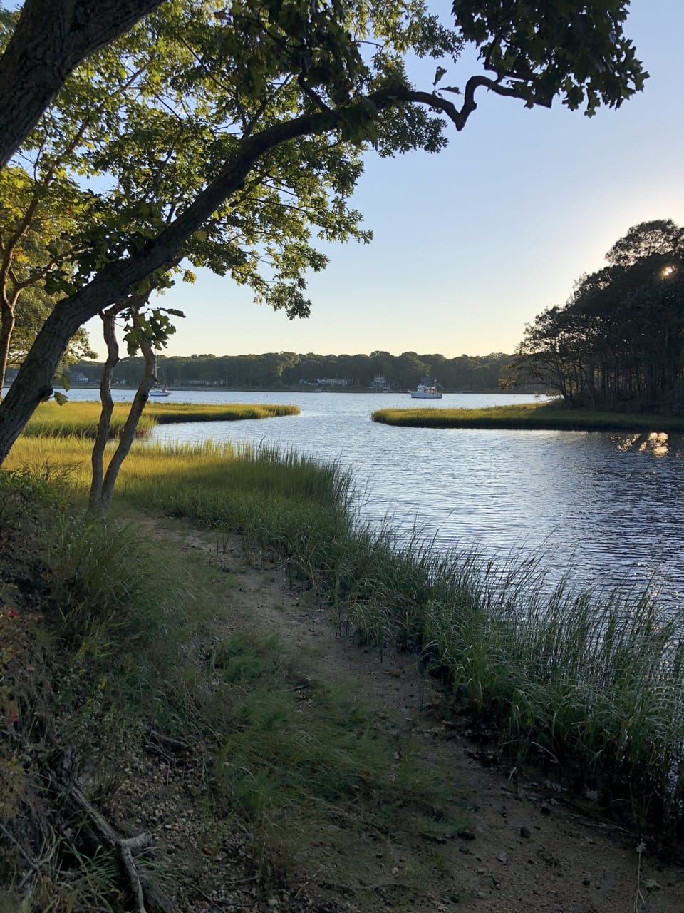 Short walk to nature trail and water views