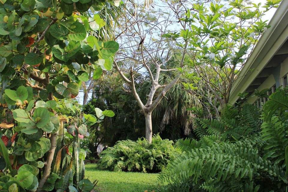 Unfenced Side Yard

