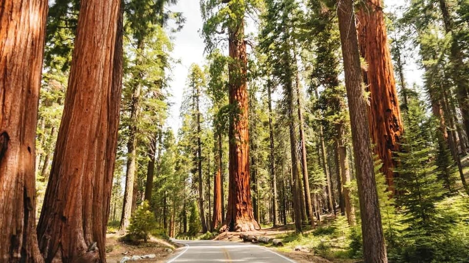 Only 45 minutes from Sequoia National Park entrance!