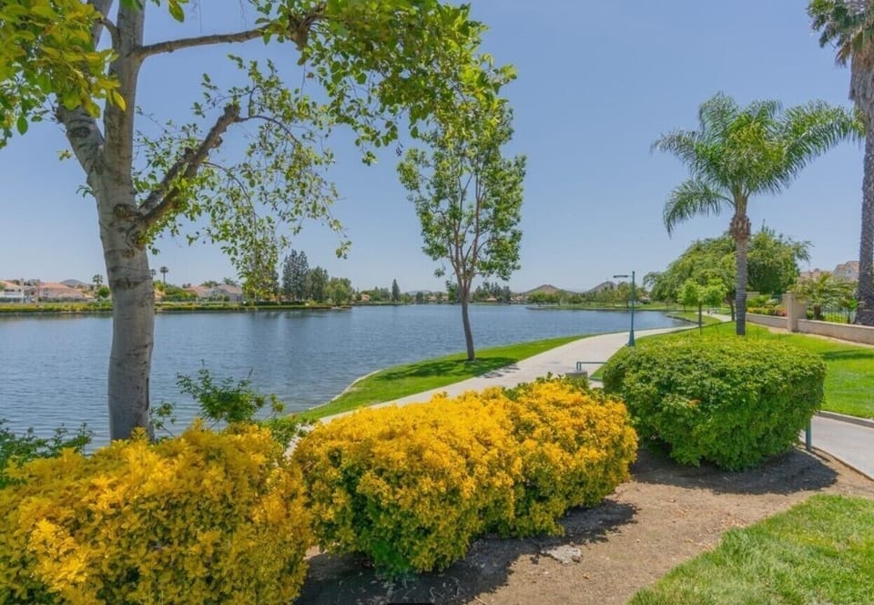 Lake view from nearby park