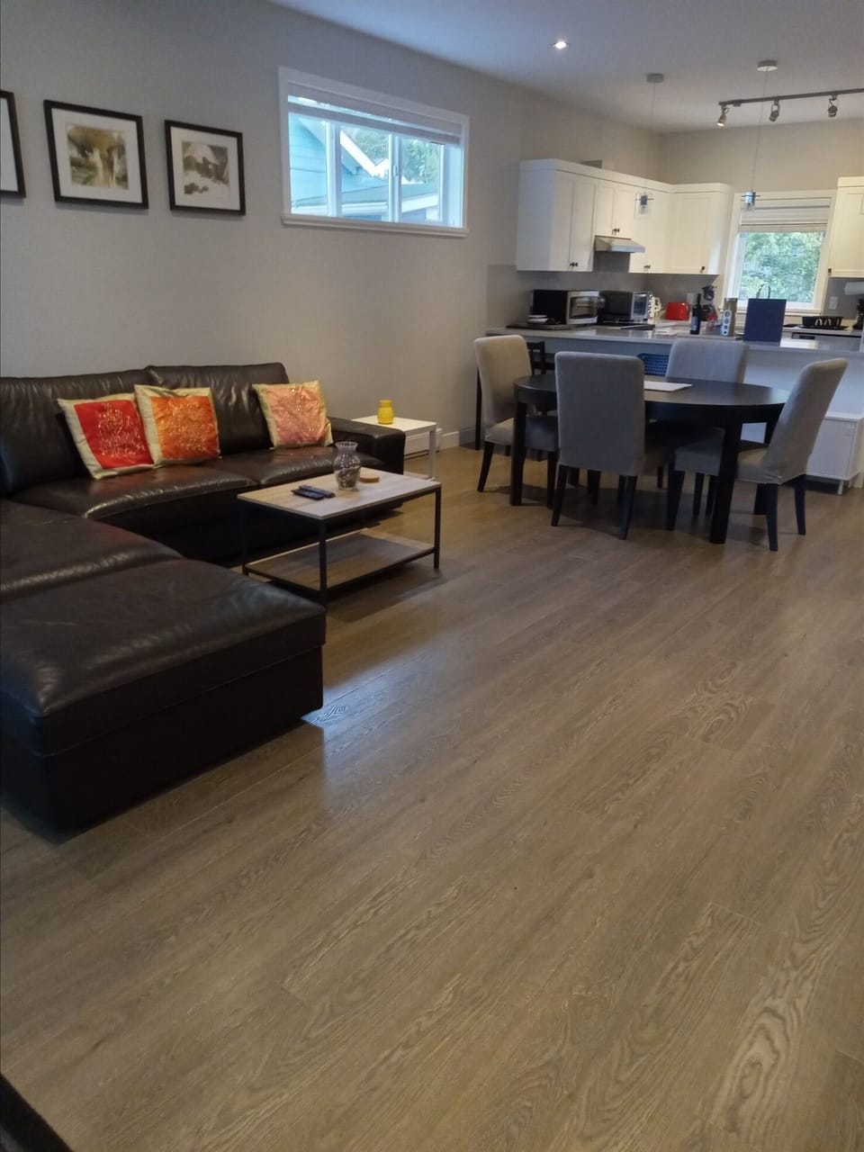 Living Room / Dining Area