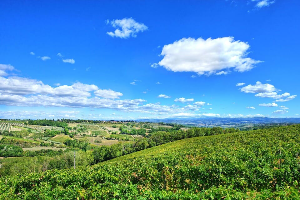 Outdoor, Scenic View