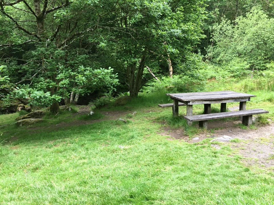 There are lots of nice places for a walk and picnic 