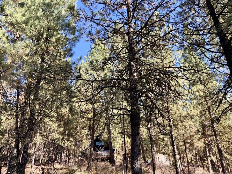 Mint Chip Cabin on summer