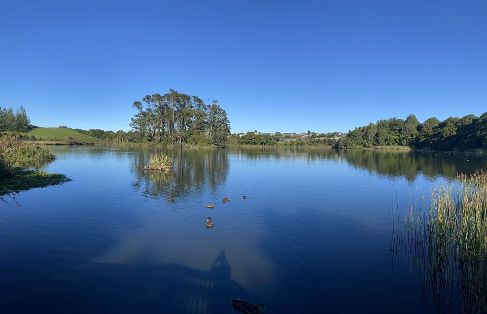 Barrett Domain 10min walk