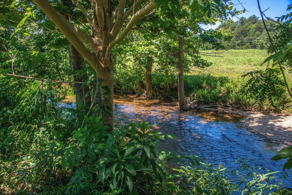 3-03_CreeksideSplendor