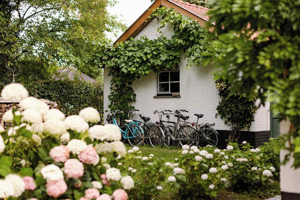 Free bikes available for guests to use!