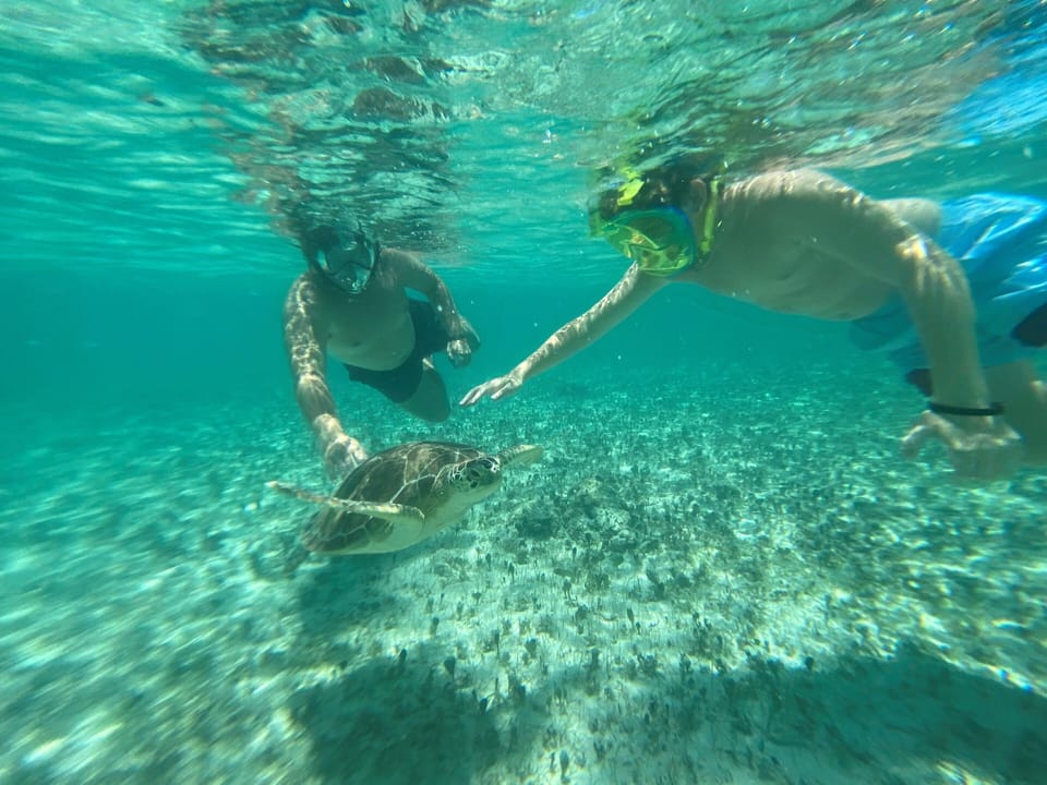 Snorkel with marine life at Deadman's Reef. 15 minute drive to Paradise Cove.