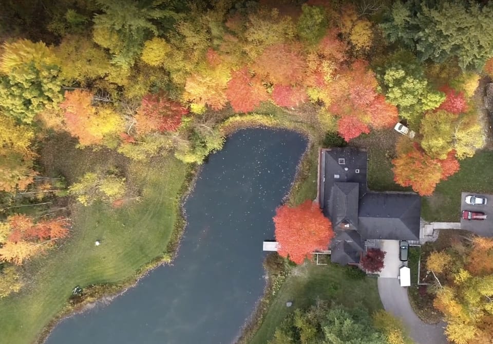 Aerial view in October