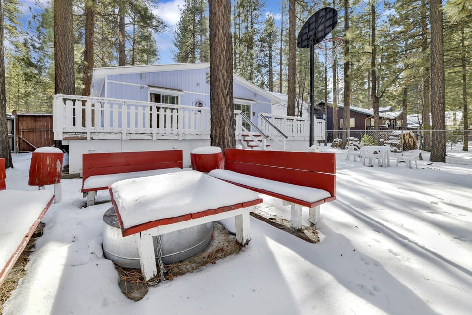 Private outdoor area surrounded by tall pines, perfect for relaxing under the trees after a day of adventure—enjoy peaceful forest views, fresh air, and a truly rejuvenating stay.