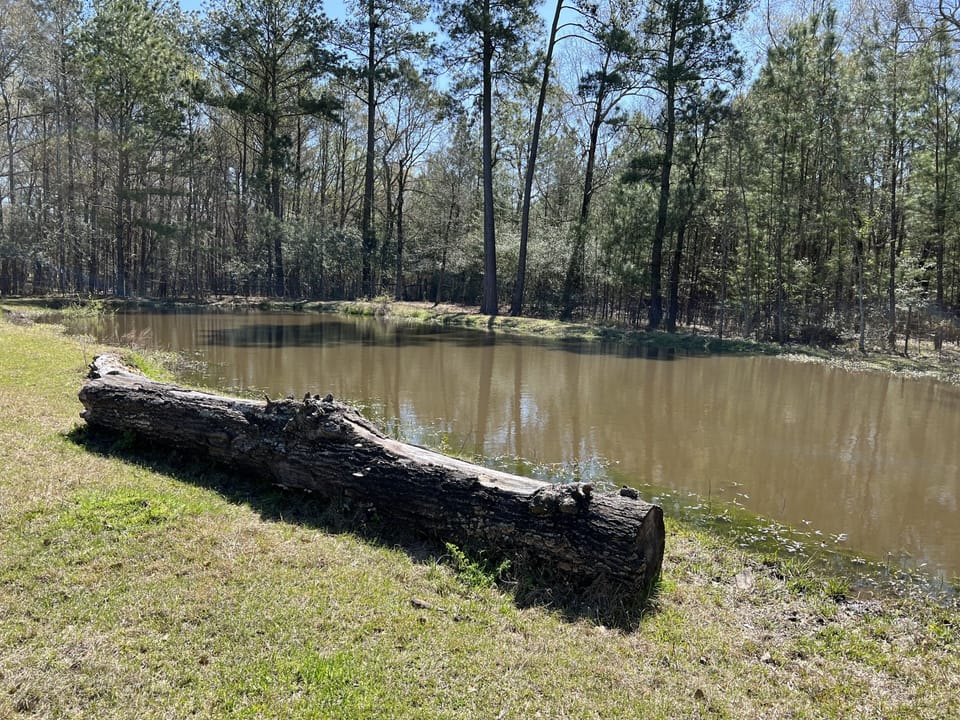 Pond in the back of the property is stocked with catfish and bass.