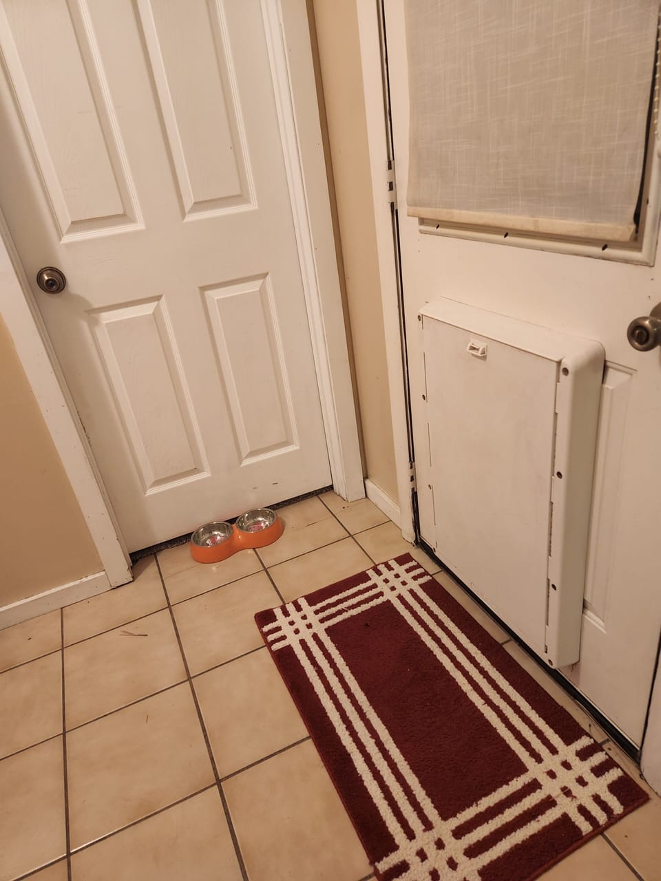 back door with doggie door and dish