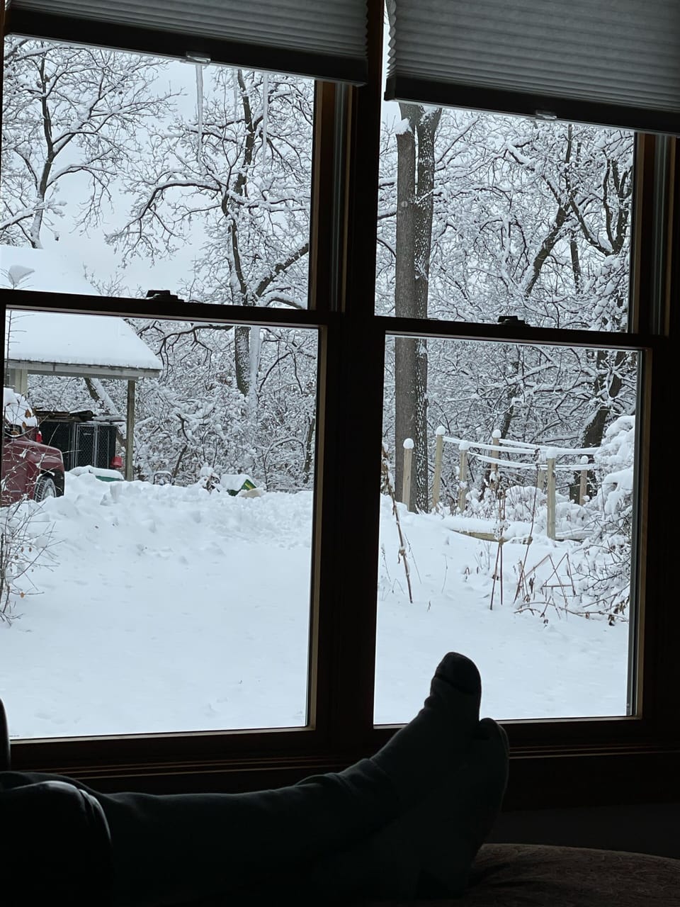 Watching the snow