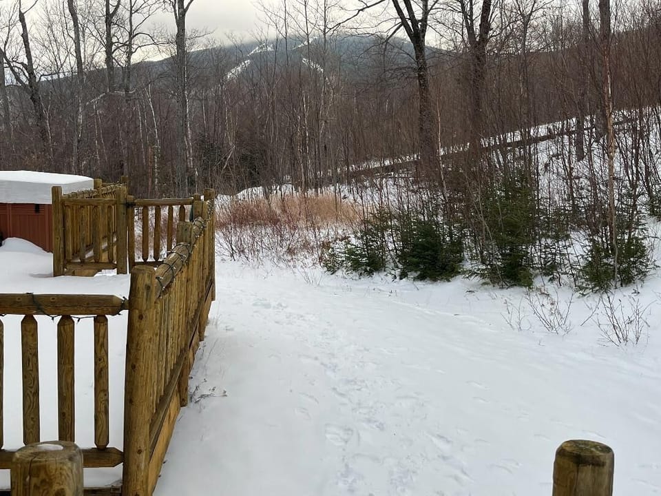 Looking out to Windrow Trail from back patio