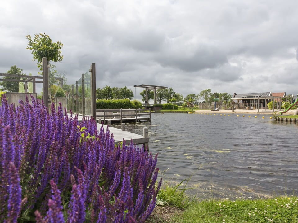Sky, Cloud, Water, Flower, Plant, Natural Environment, Vegetation, Natural Landscape, Lake, Tree