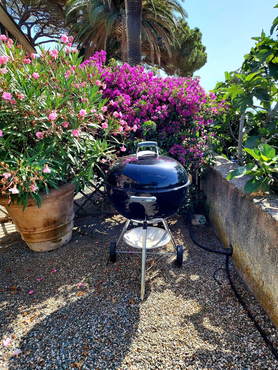 BBQ per gustose grigliate di carne o pesce