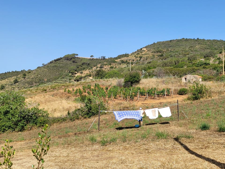Vista sui monti e la campagna elbana