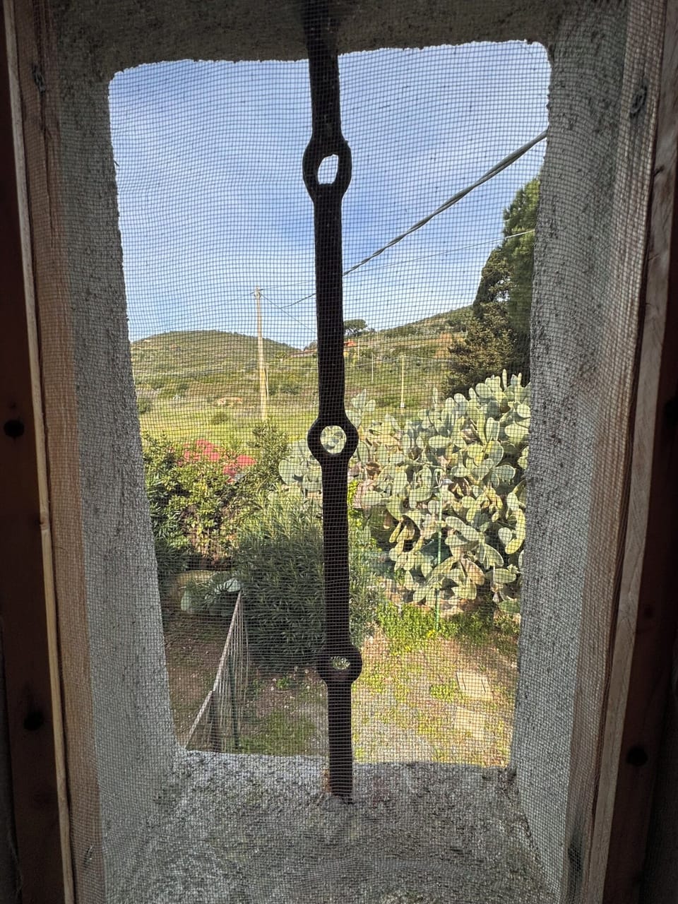 View from property