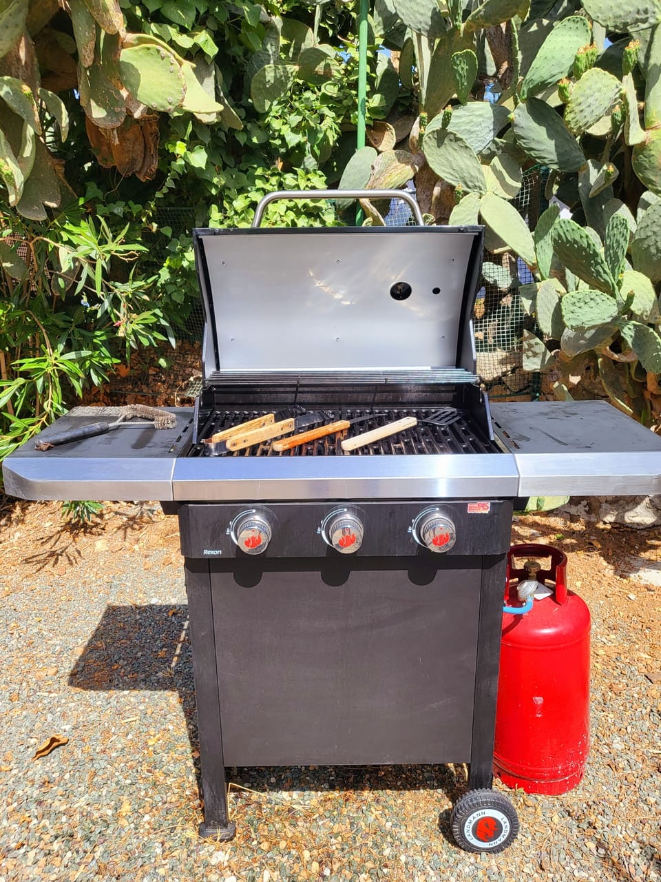 BBQ gas per fantastiche grigliate di pesce e di carne 