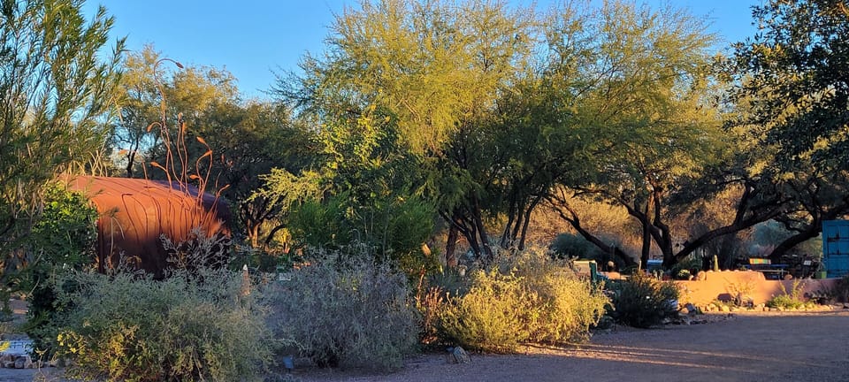 Desert Meadows Park  .5  miles from property