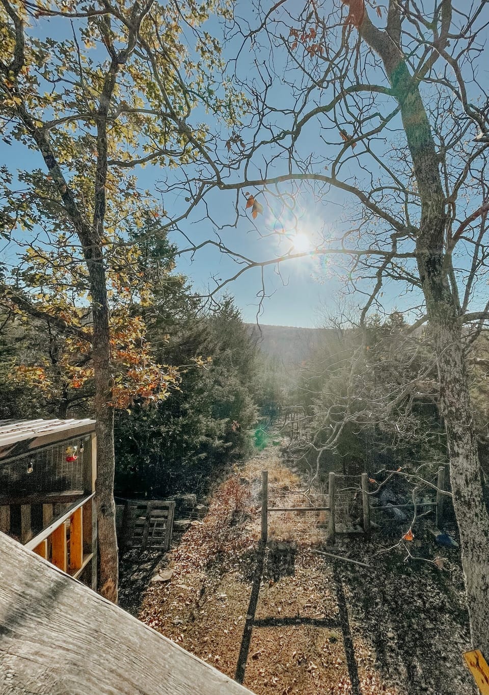 This is the back yard’s access to the lake (2 min walking)