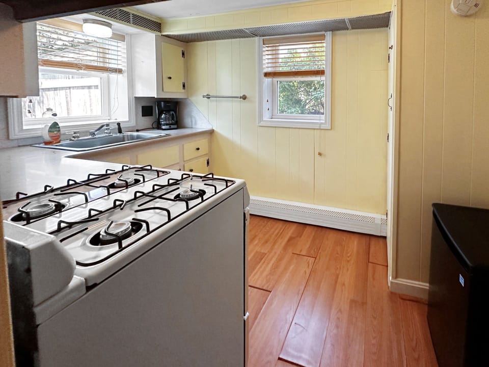 Small kitchen area - lower level