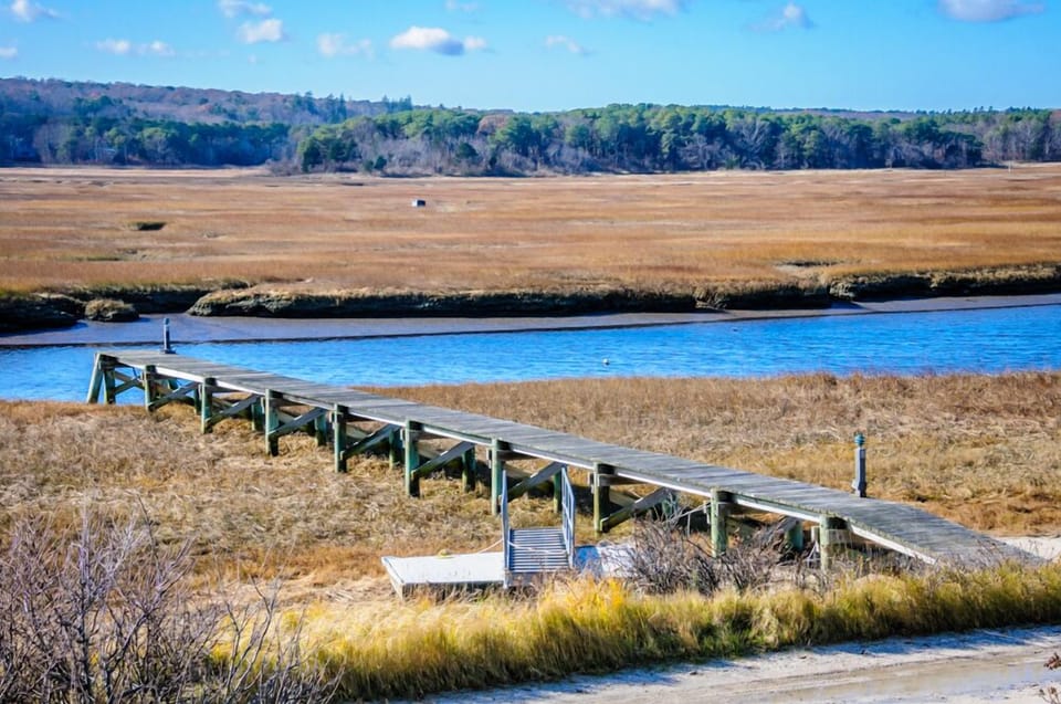 Shared Dock extends into tidal marsh across the road.