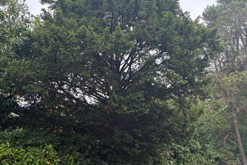 Image 33