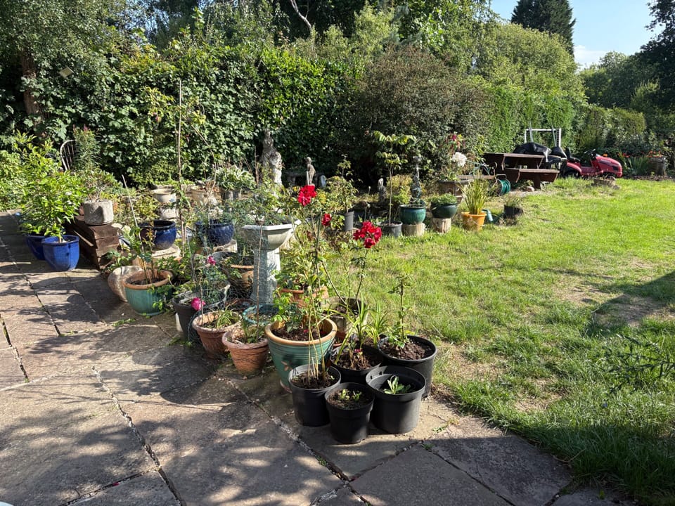 Our garden pond and seating area