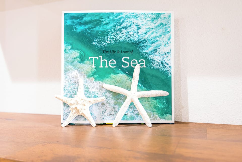 Welcome to our Florida vacation home inspired by resort style decor and the sea!