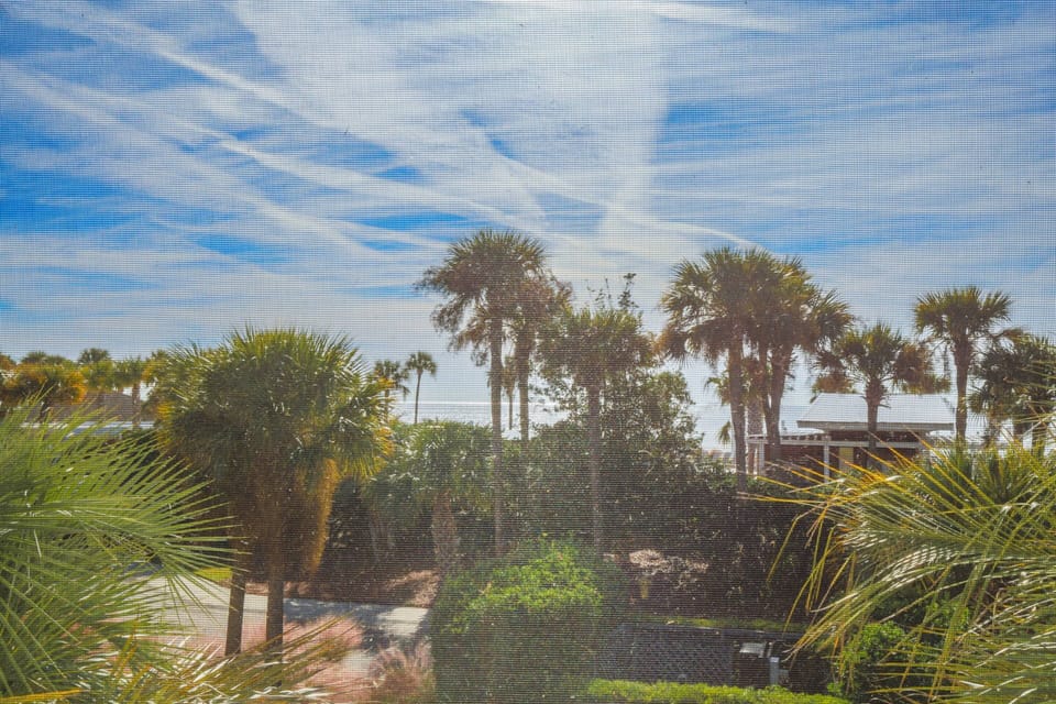 You'll never tire of this view from our screened porch!