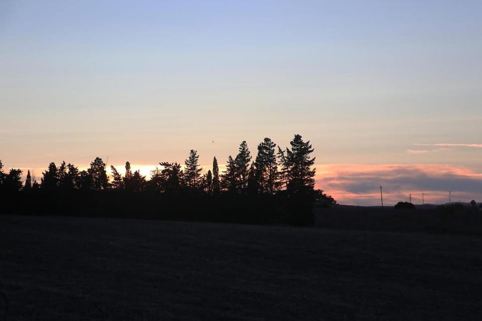 Region [summer] (>5 km)