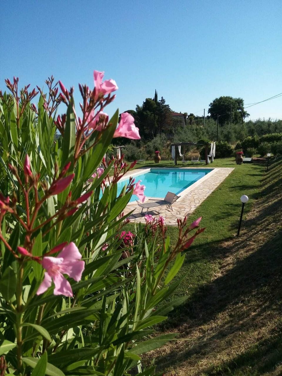 The swimming pool
