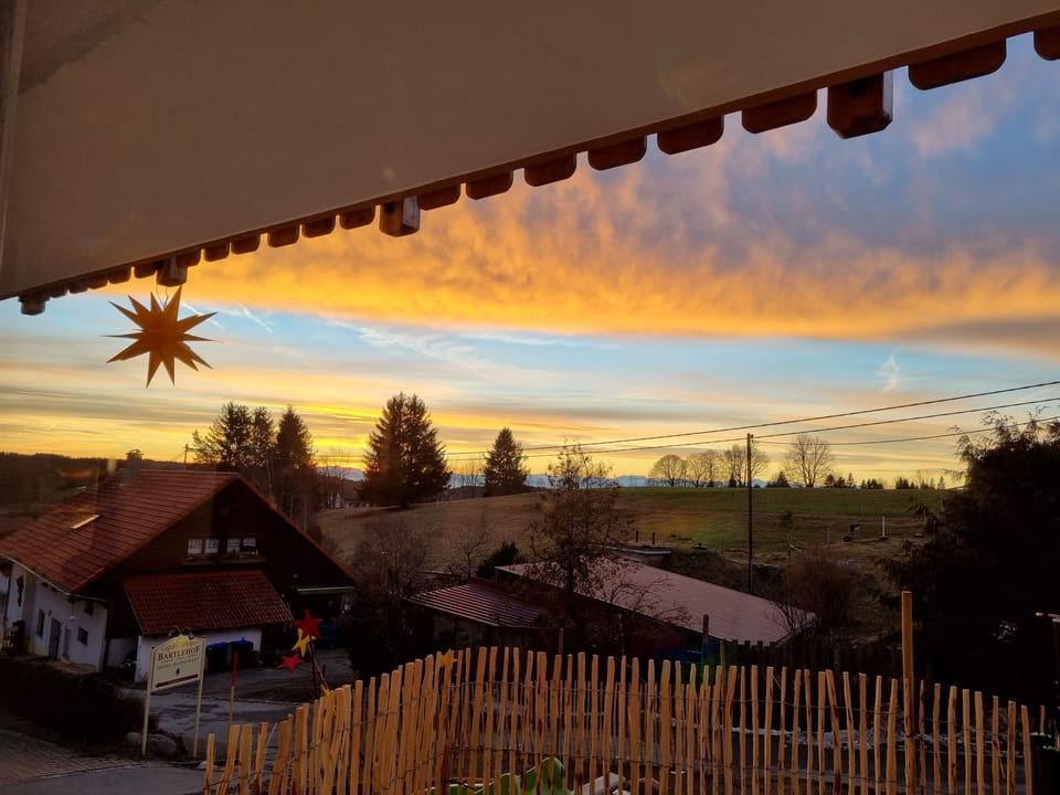 View from property