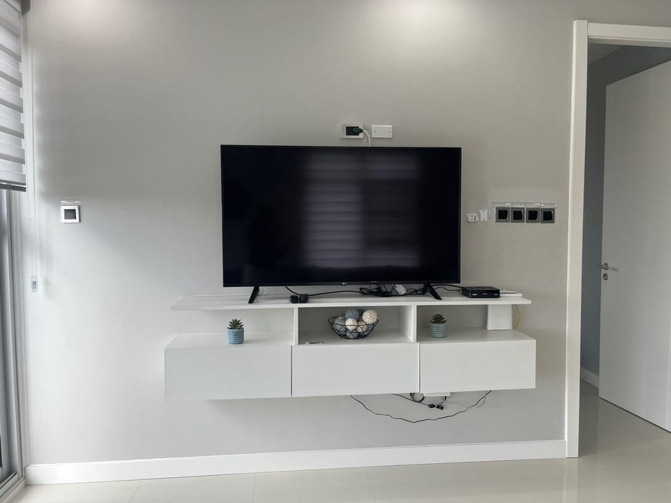 Television with cable and Netflix.