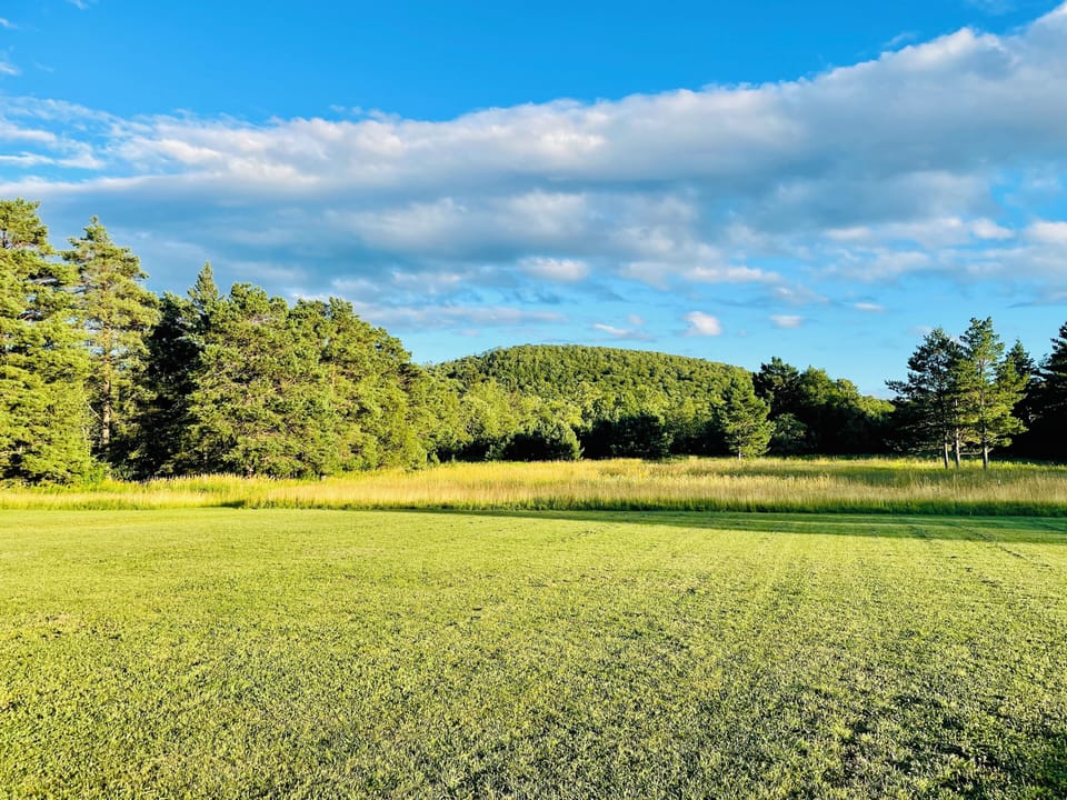 Peaceful meadow and scenic wooded hill views