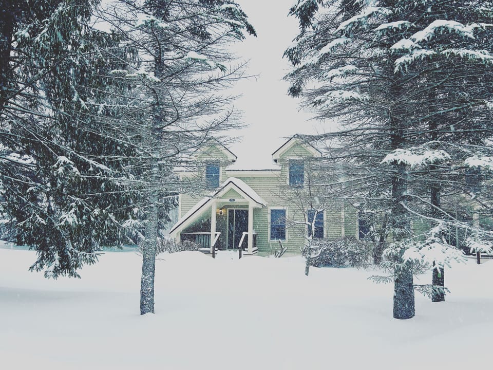 winter wonderland